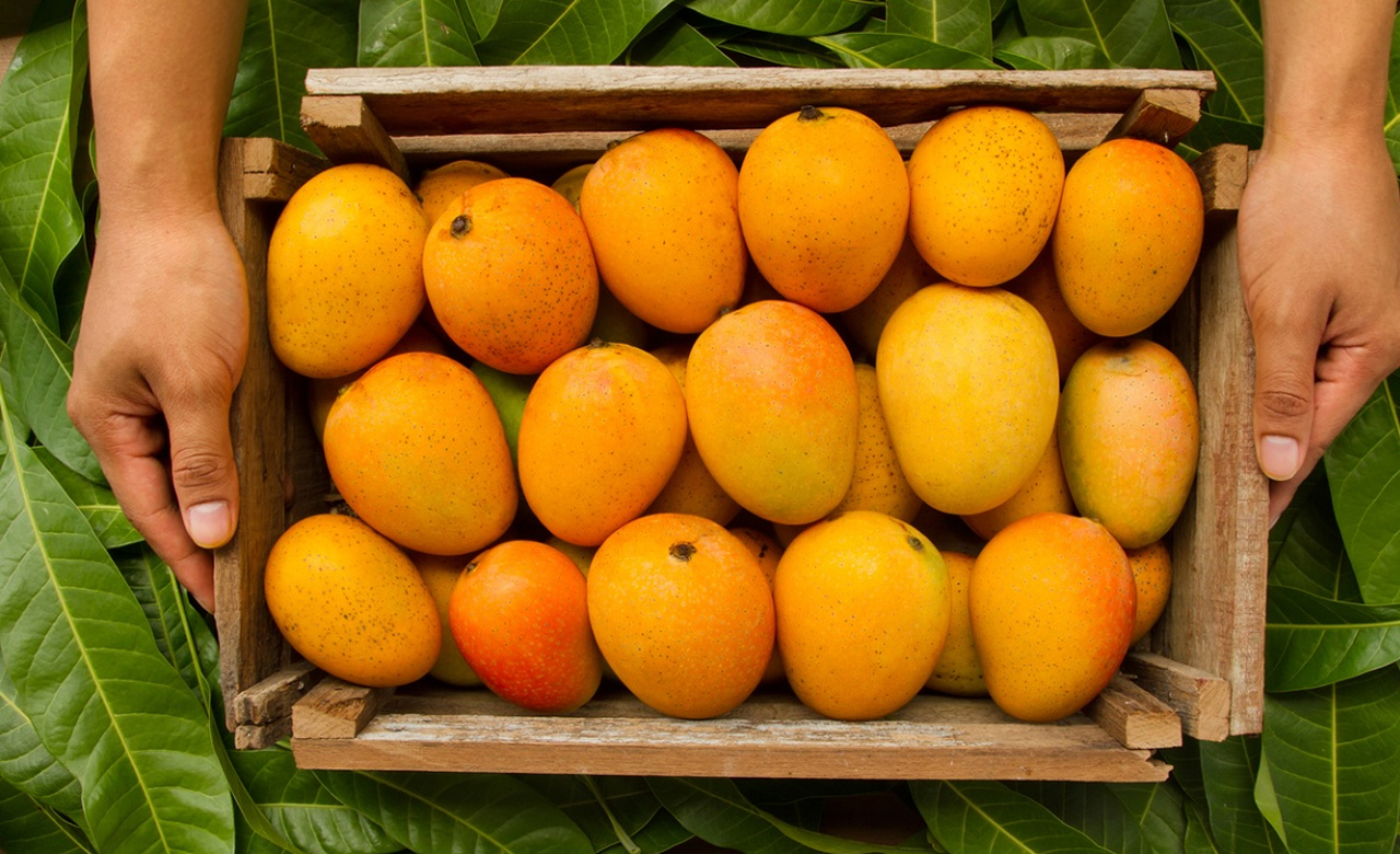 জ্যৈষ্ঠের পাকা আম
