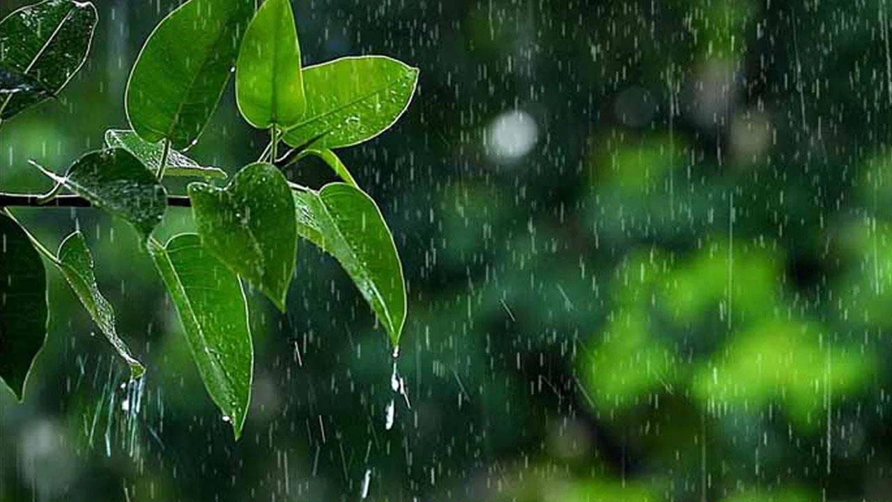 বৃষ্টি
