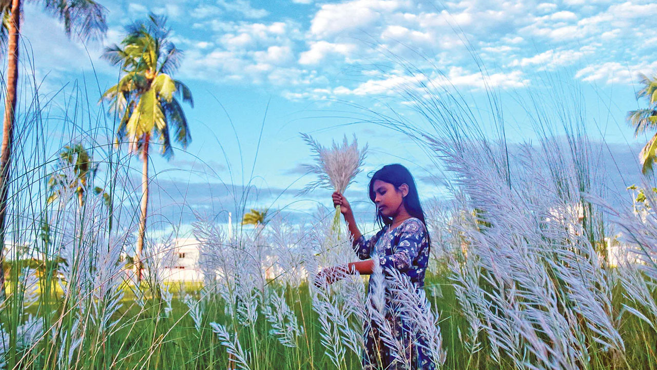প্রিয়ার চোখে শরৎ