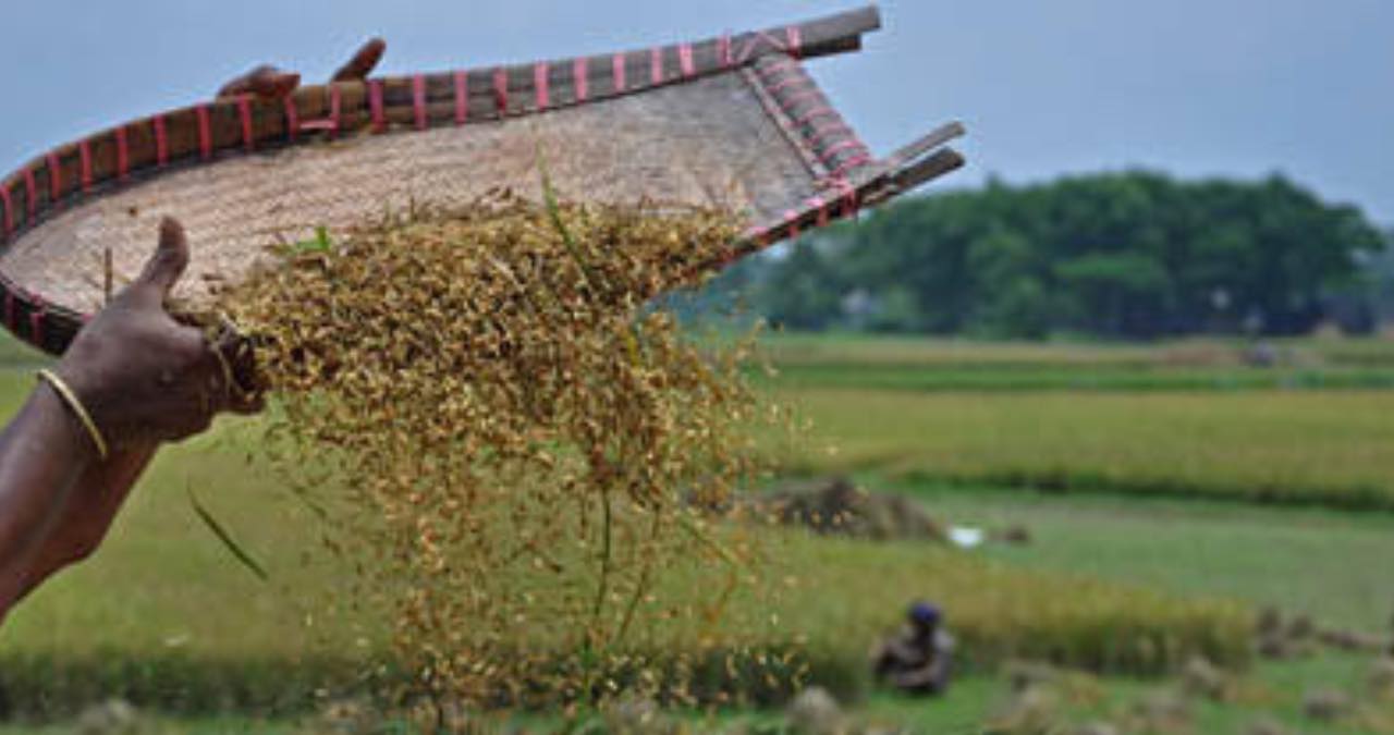 হেমন্তের রূপ