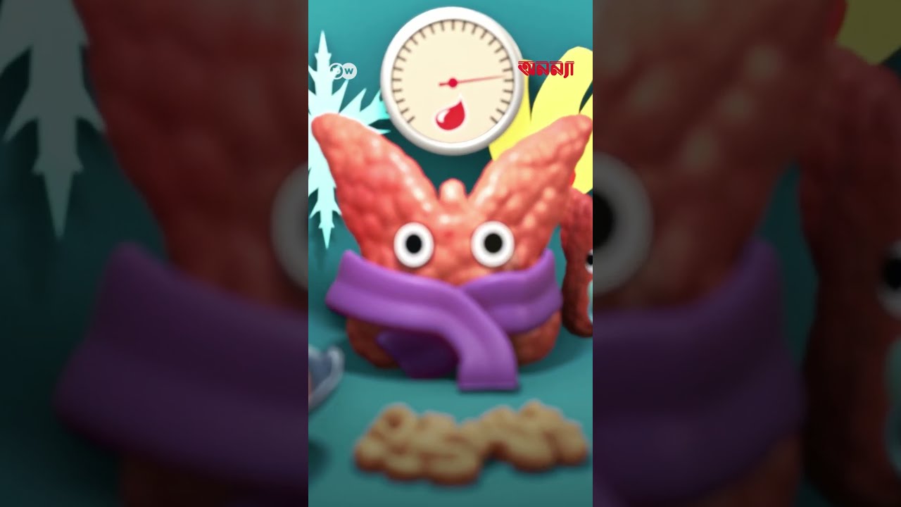 থাইরয়েড: অঙ্গপ্রত্যঙ্গের শাসক | DW | Health | Anannya