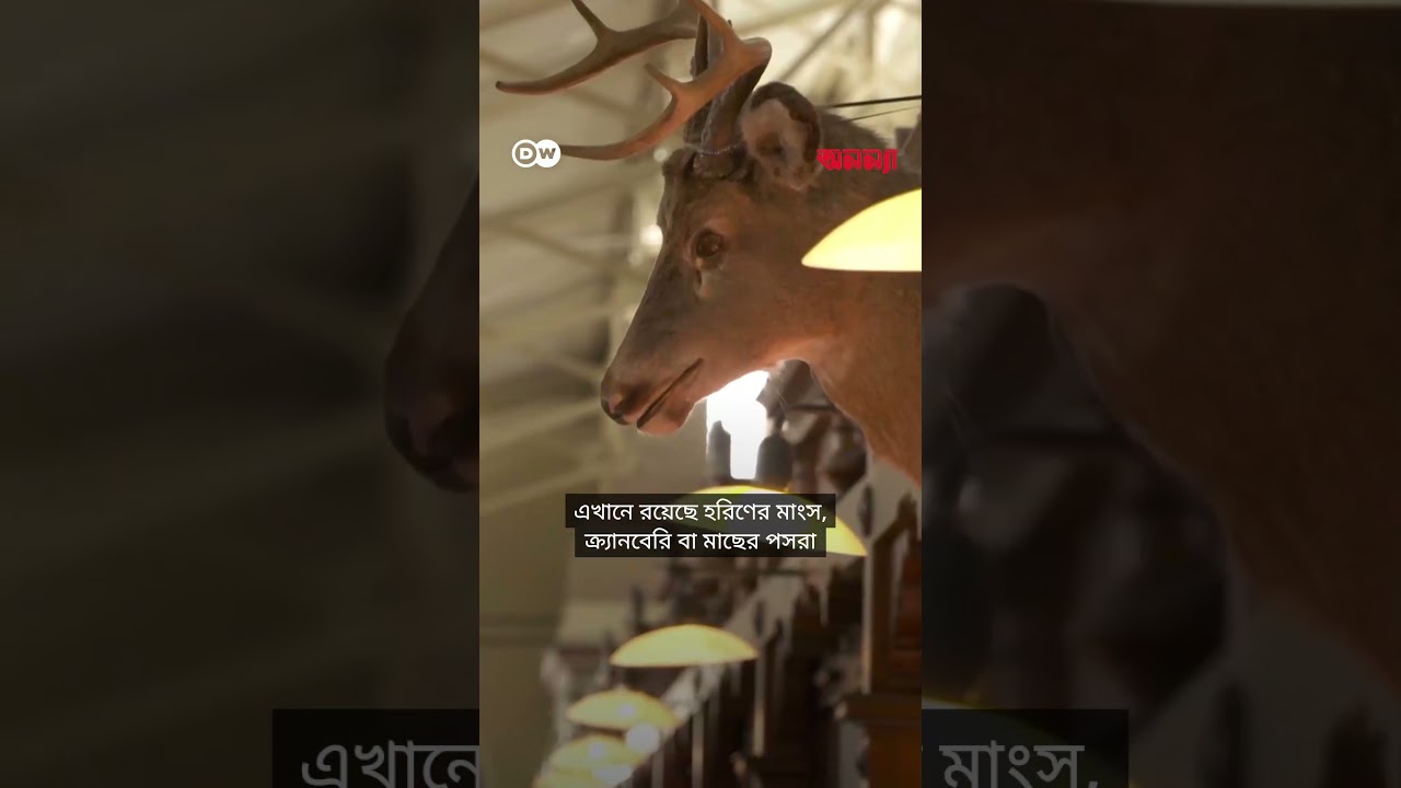 সবচেয়ে সুখী দেশের রাজধানীতে একদিন | Anannya | DW#anannya_magazine #anannyamagazine #ম্যাগাজিন #নারী