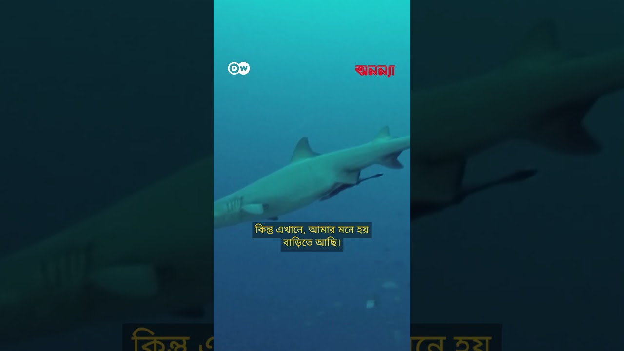 মালয়েশিয়ার শেষ যাযাবর গোষ্ঠী | Anannya | DW