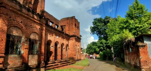 প্রকৃতির ছোঁয়া পেতে ঘুরে আসুন ঢাকার এই ৫ জায়গায় 