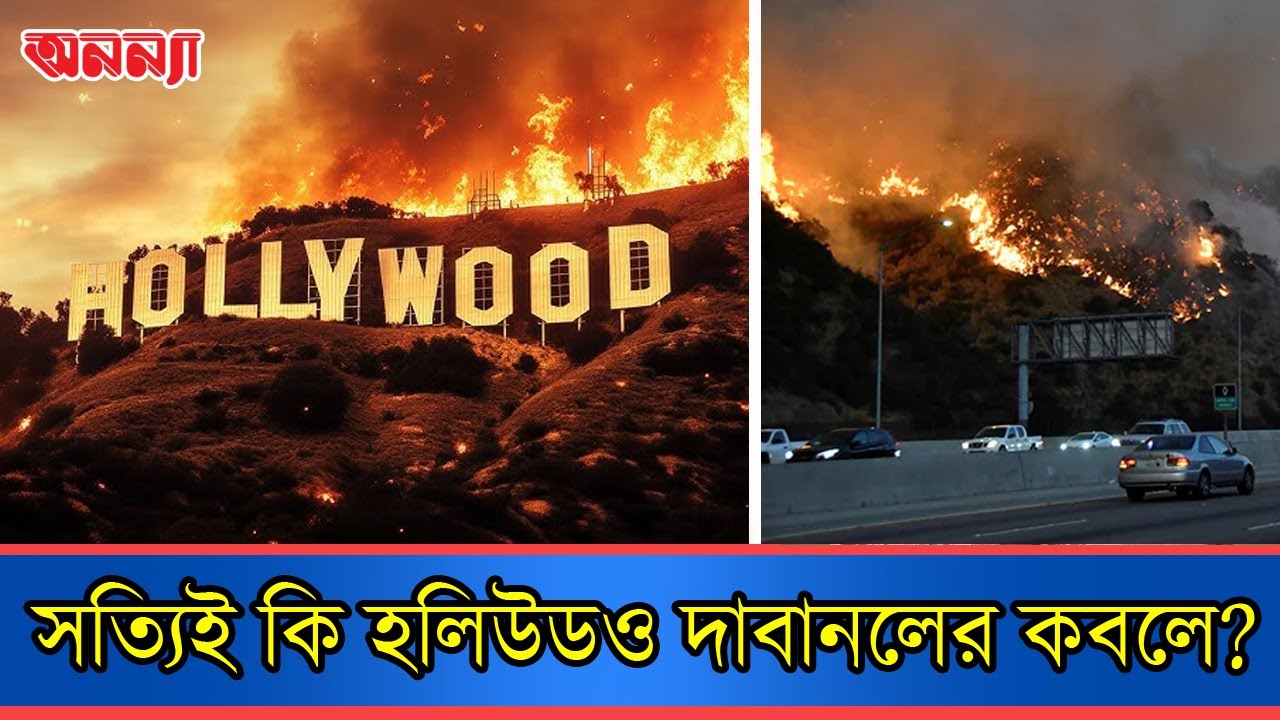 সত্যিই কি হলিউডও দা বা ন লে র কবলে?