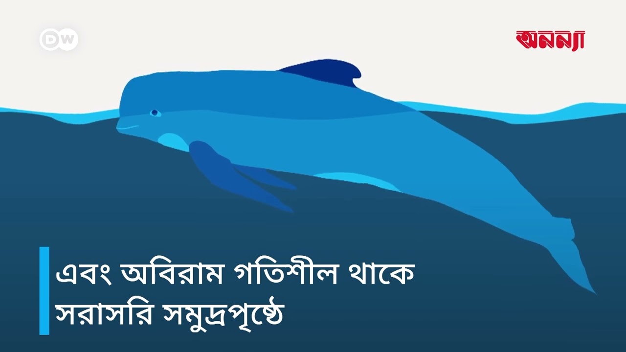 তিমিরা কি ঘুমায়? | Anannya | DW