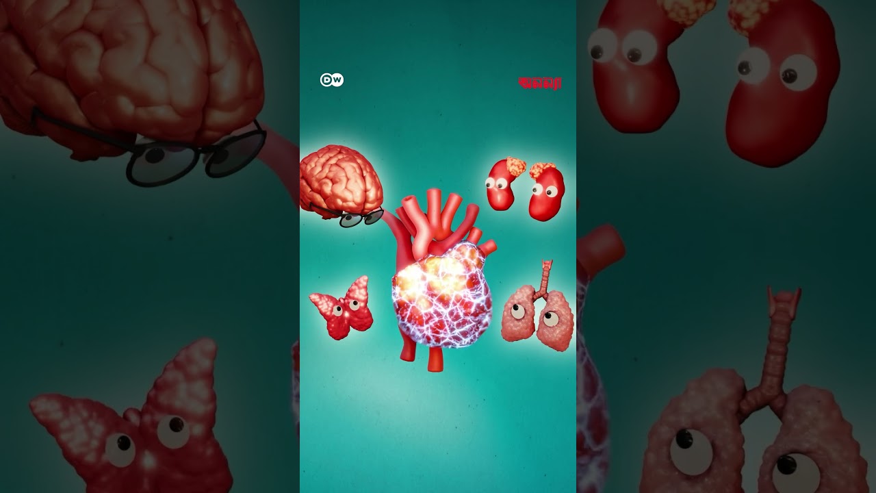 হৃদপিণ্ড এক সুপার অর্গান | Anannya | DW | Health | Heart