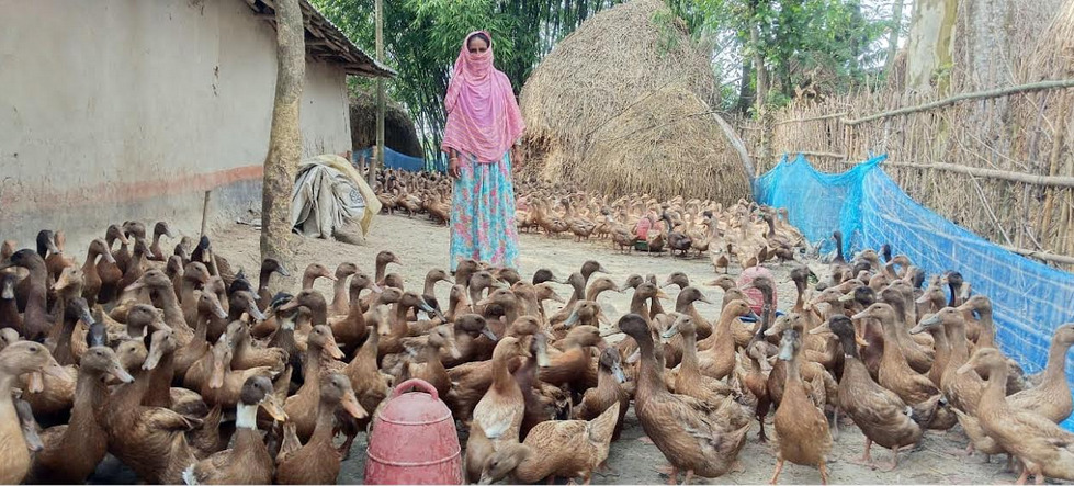 পাঁচবিবিতে হাঁস পালনে স্বাবলম্বী মিনারা
