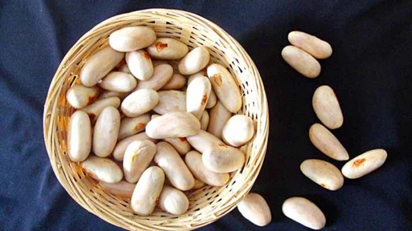 চুল ও মন—দুটোরই যত্নে কাঁঠালের বীজ