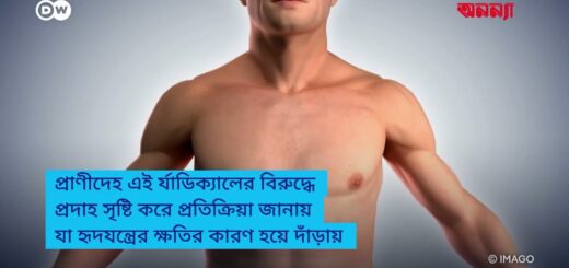 মহাজাগতিক বিকিরণ কীভাবে প্রাণীদের প্রভাবিত করে?