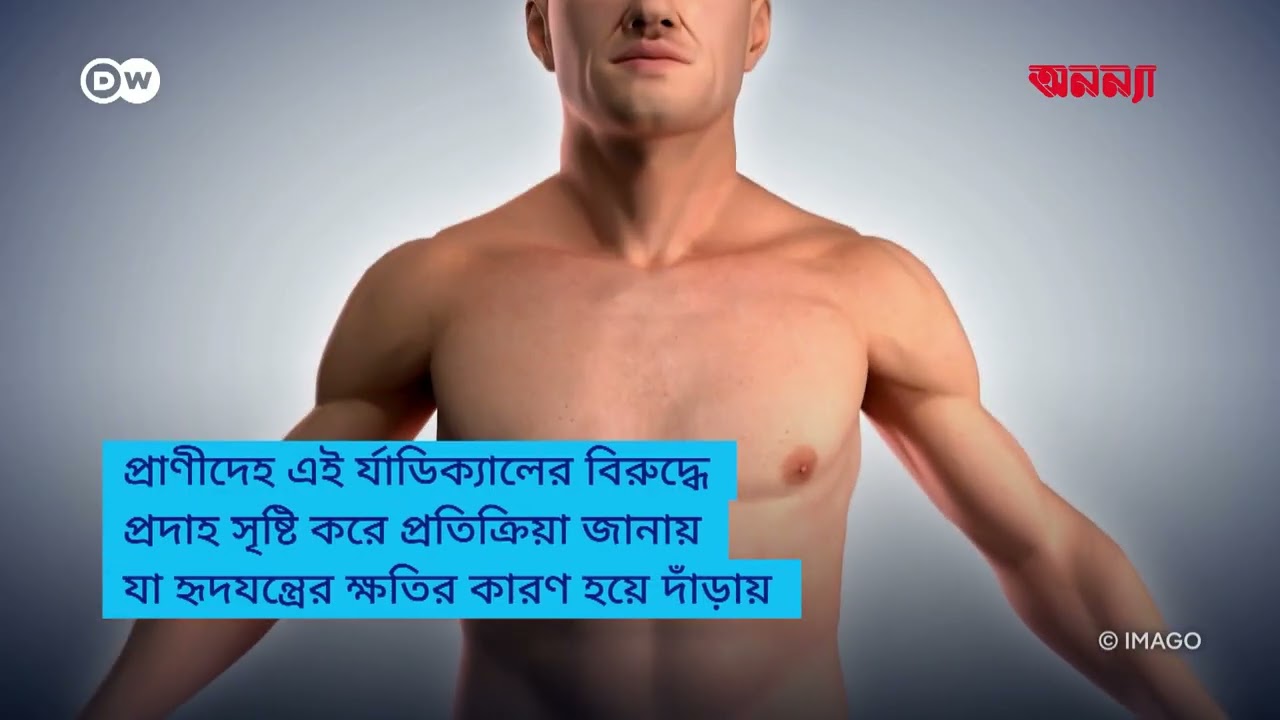 মহাজাগতিক বিকিরণ কীভাবে প্রাণীদের প্রভাবিত করে?