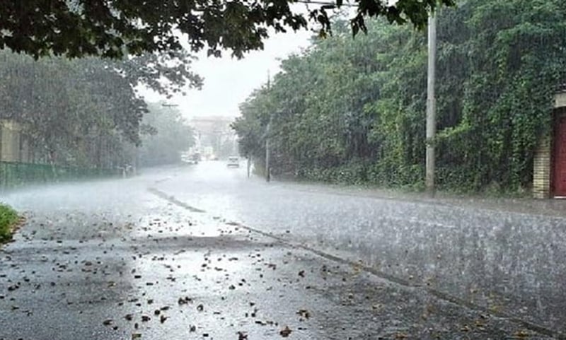 বৃষ্টি নেমেছে আমার শহরে